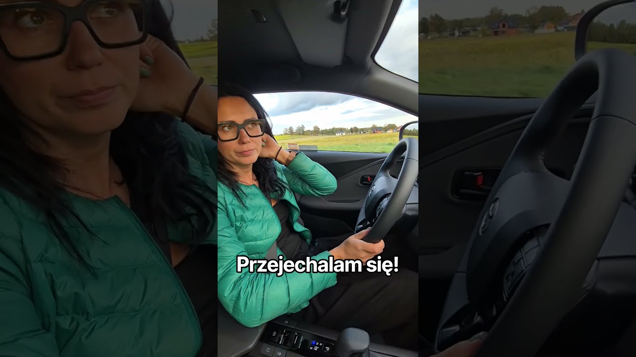 Hybrydy na drodze: Zabawa w ekonomię