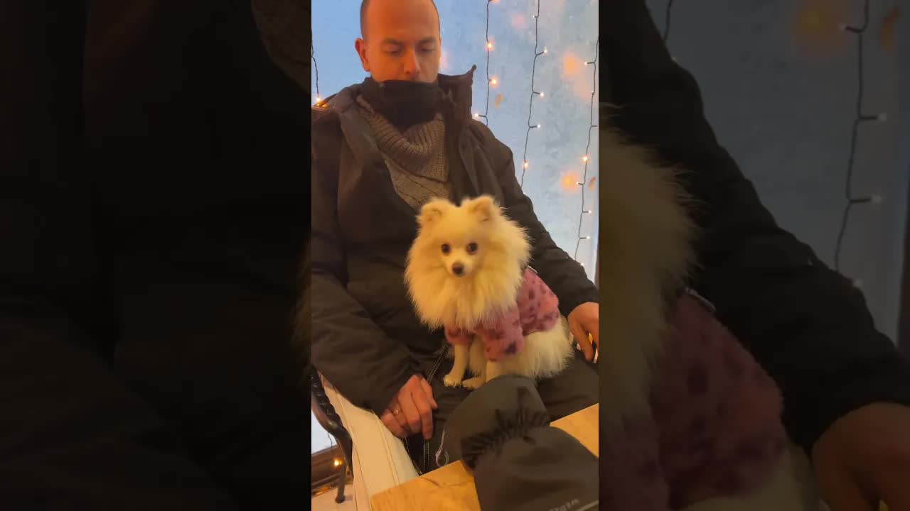 Zimski izlet na Sljeme i ljubav prema Hrvatskoj