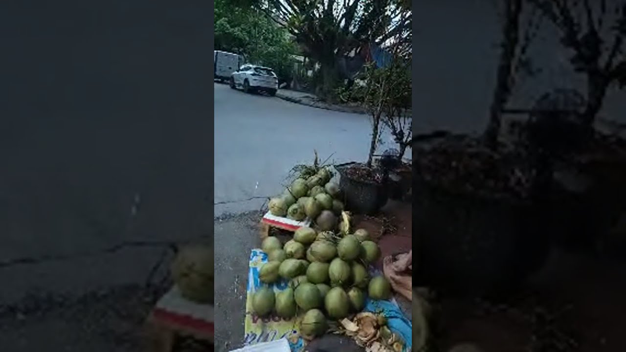 Quán bán dừa và thịt nướng buổi chiều