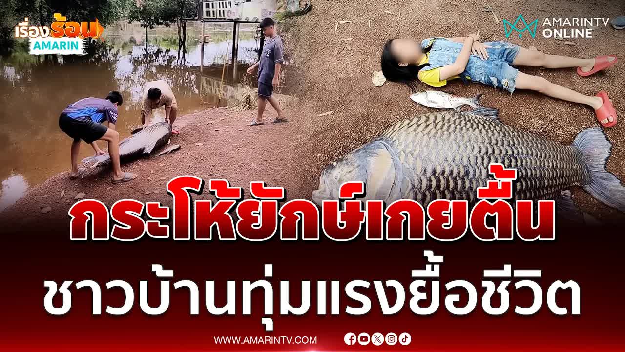 ชาวบ้านช่วยปลากระโห้ยักษ์เกยตื้น