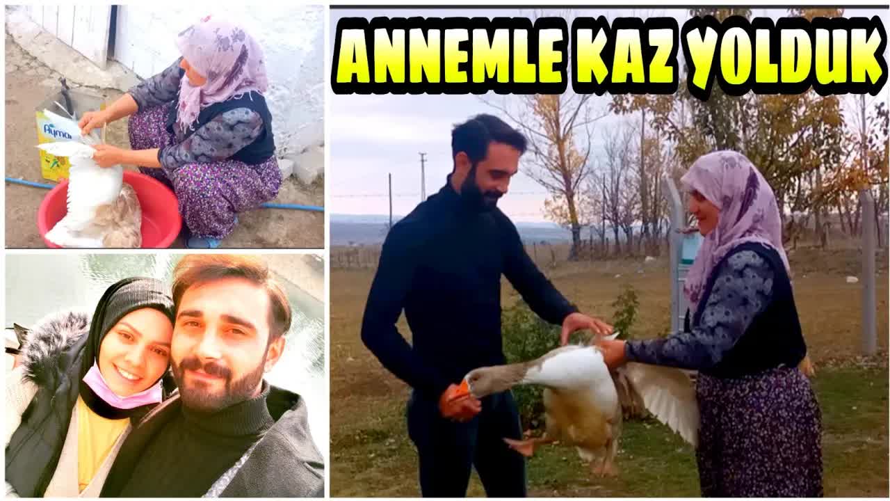 Annemle Köyde Kaz Yetiştiriciliği