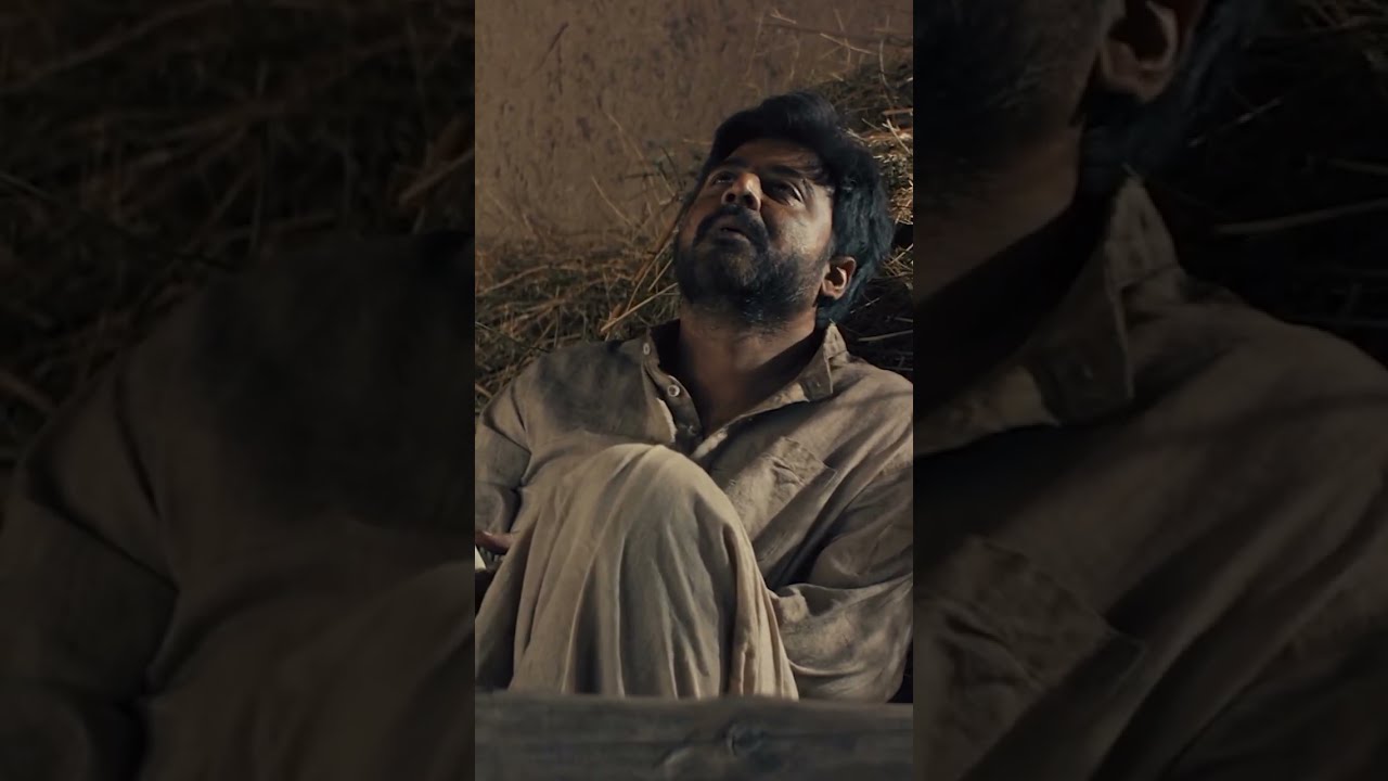 একটা পাখি মনের কোণে ডানা ঝাপটায়