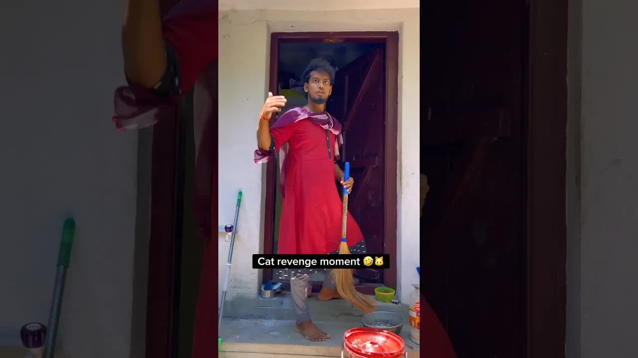 திருட்டு பூனை மற்றும் ஊர் பயணம்