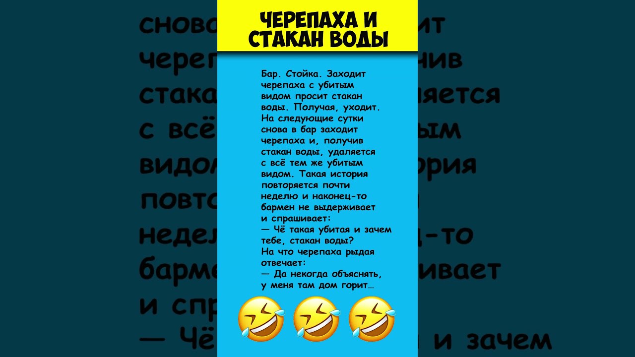 Шутка про черепаху в баре