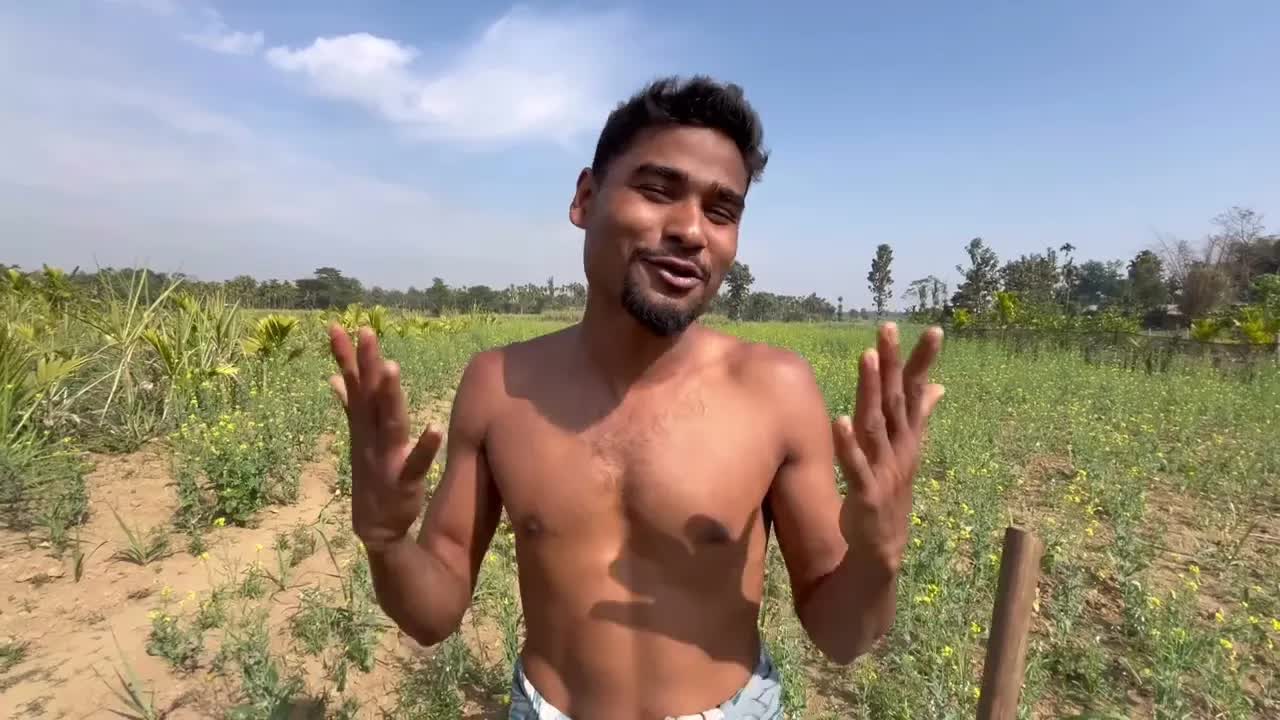 ঘর জামাই নিয়ে হাস্যকাজ