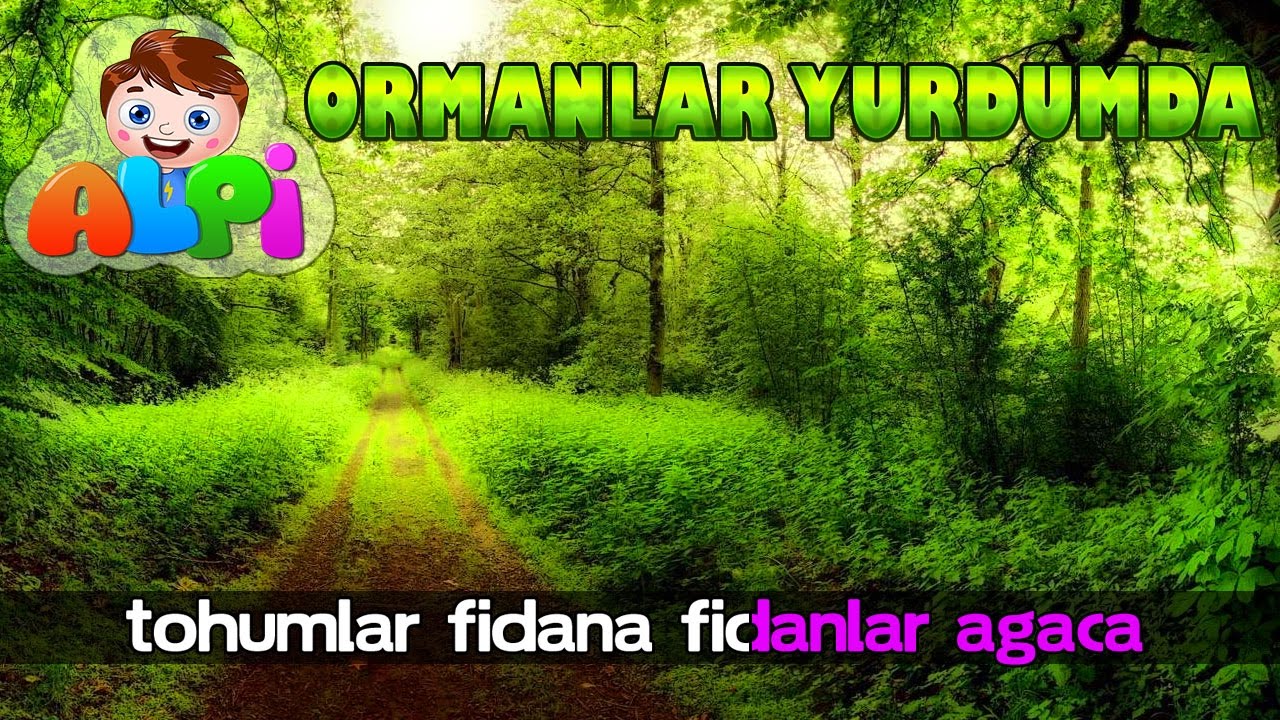 Orman Şarkısı: Tohumlar Fidana Dönmeli