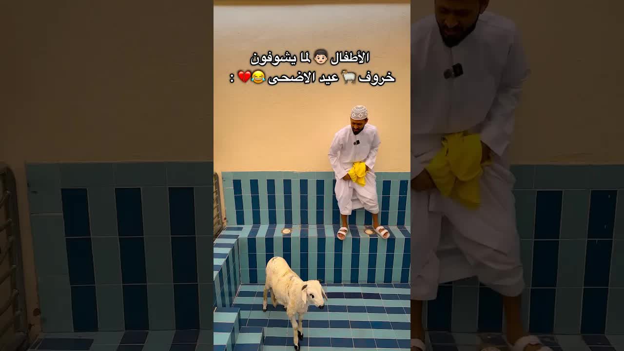أطفال العيد يشوفون الخروف ويسبحون معه