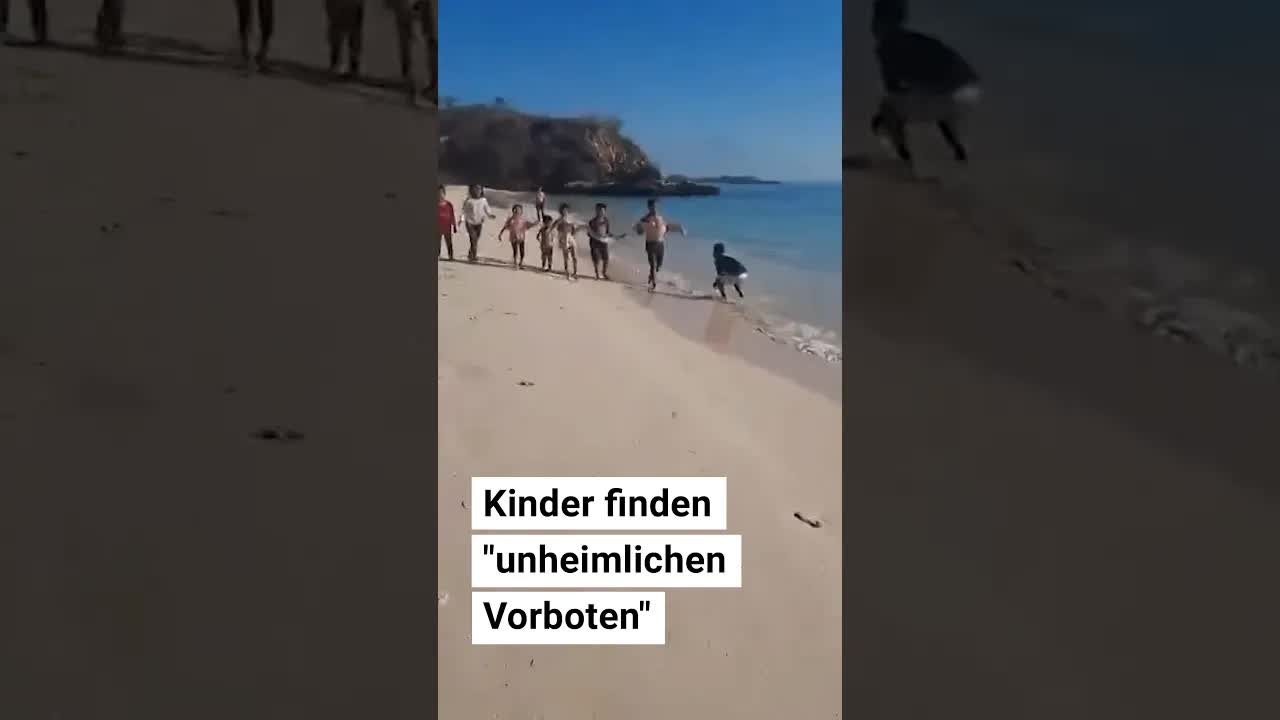 Riemenfisch als Erdbeben-Vorbote an indonesischem Strand gefunden