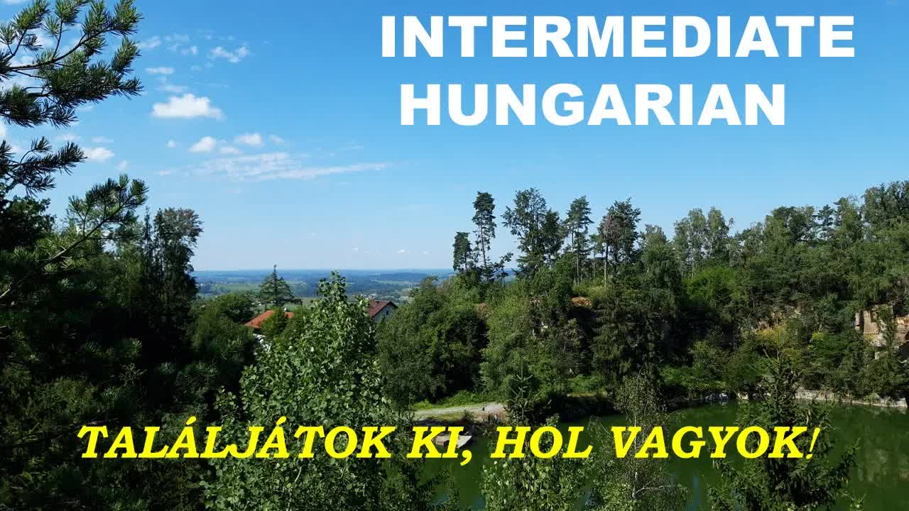 Séta az erdőben egy magyar nyelvű vlogban
