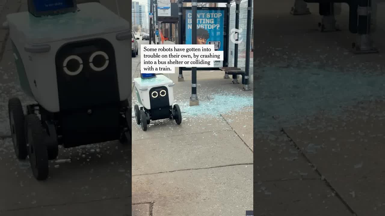 Food Delivery Robots Facing Aggressive Public