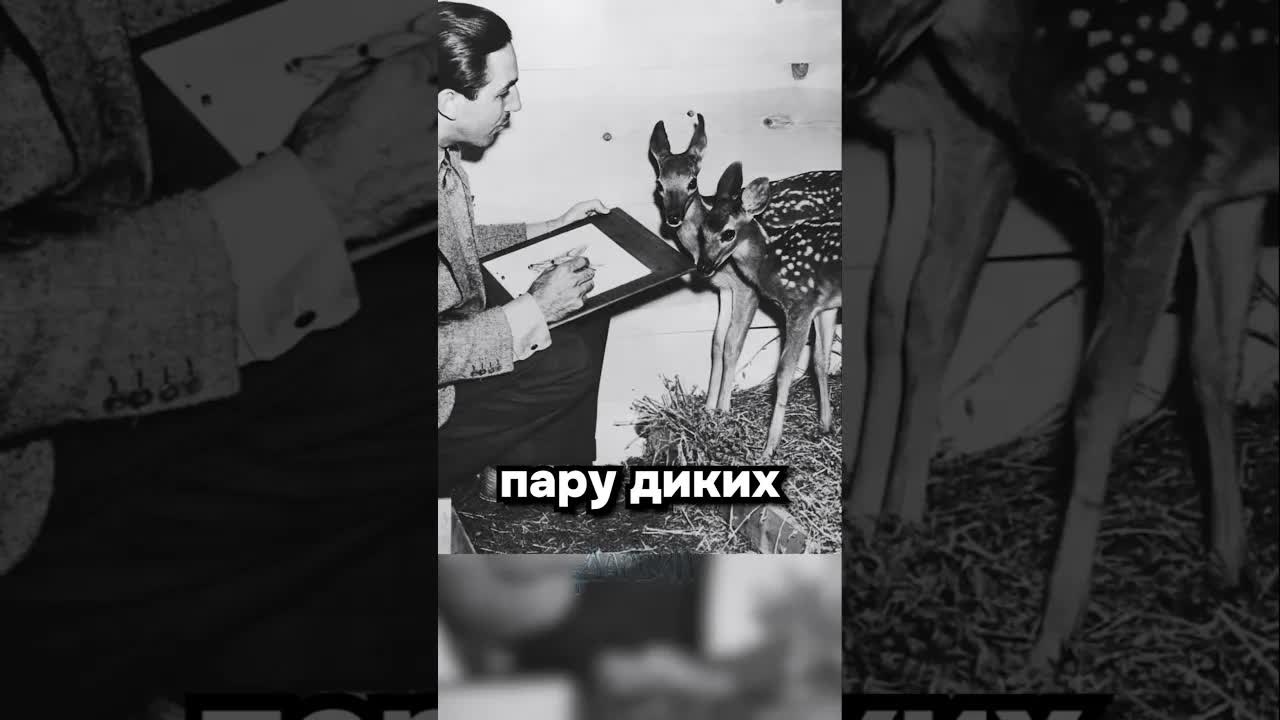 Как Disney создавал Бэмби: мрачные факты