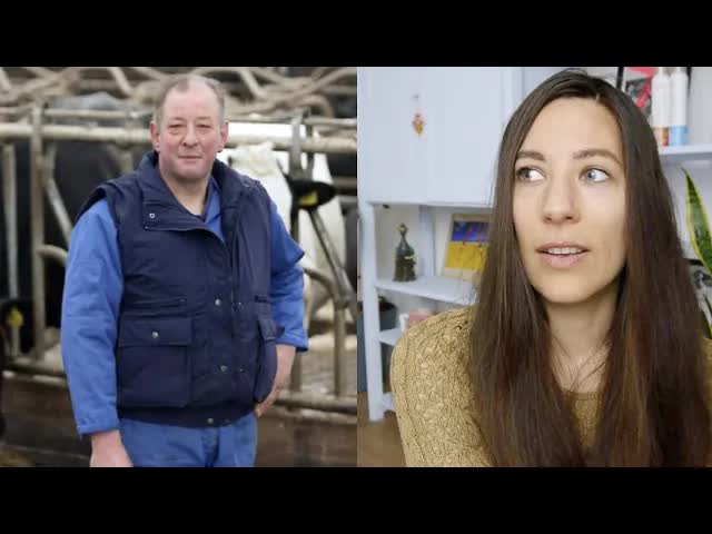 Koeien slurpen ons water op: de droogtecrisis