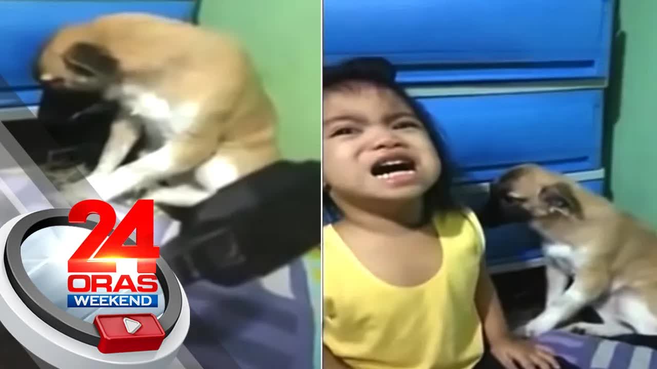 Bata, to the rescue sa asong napagalitan