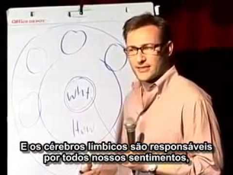 How the Brain Influences Decision Making