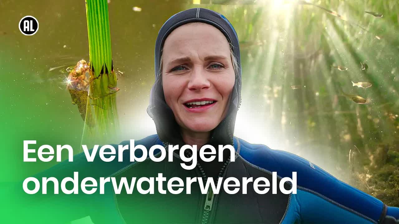 De verborgen wereld van Nederlandse sloten