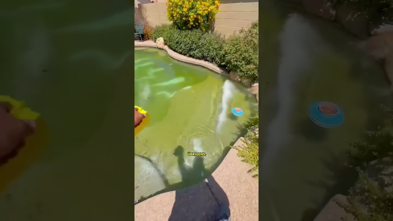 Schwarze Chemie rettet grünen Swimmingpool
