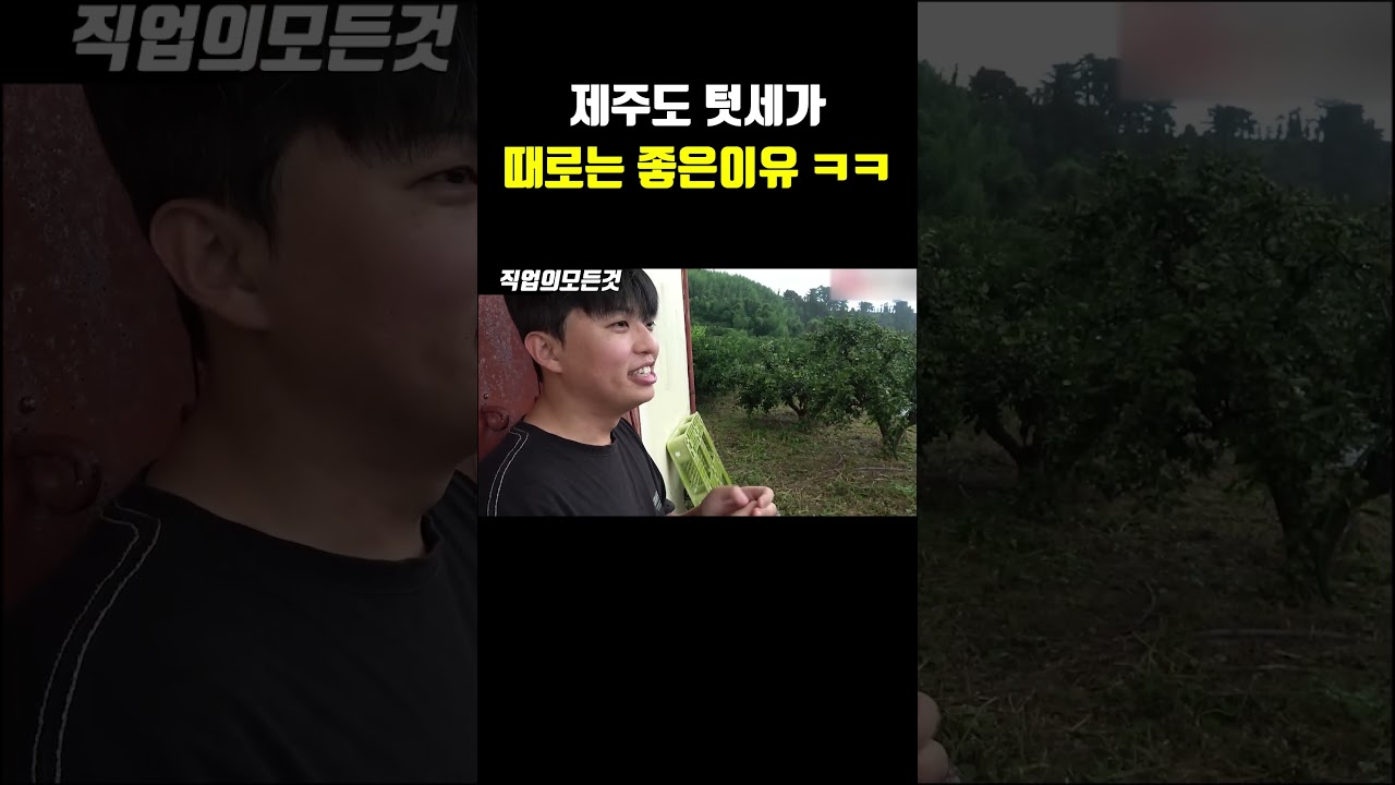 제주도 청년 농부의 괜당 문화와 밭 이야기