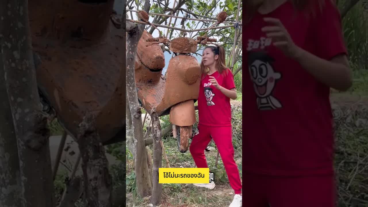 รถชนไก่และบทลงโทษในหมู่บ้าน