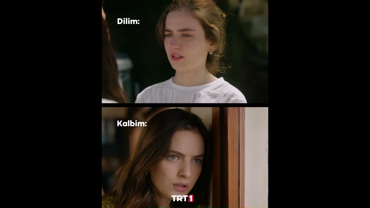 Eleni, sen seviyorum demesen de olur