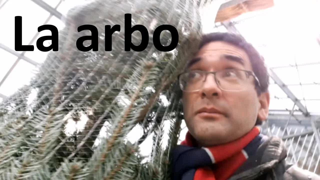 Mi Aĉetis Kristnaskan Arbon