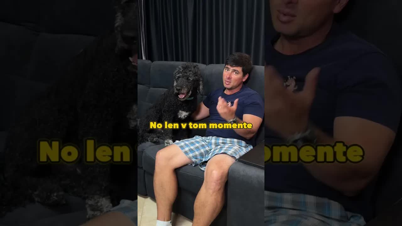 Položenie hlavy psa ako povel na pozornosť