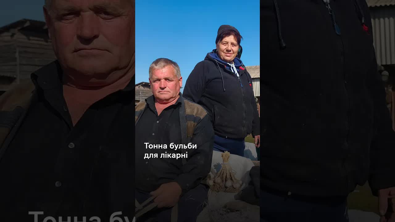 Збір картоплі для лікарні у Журавичах