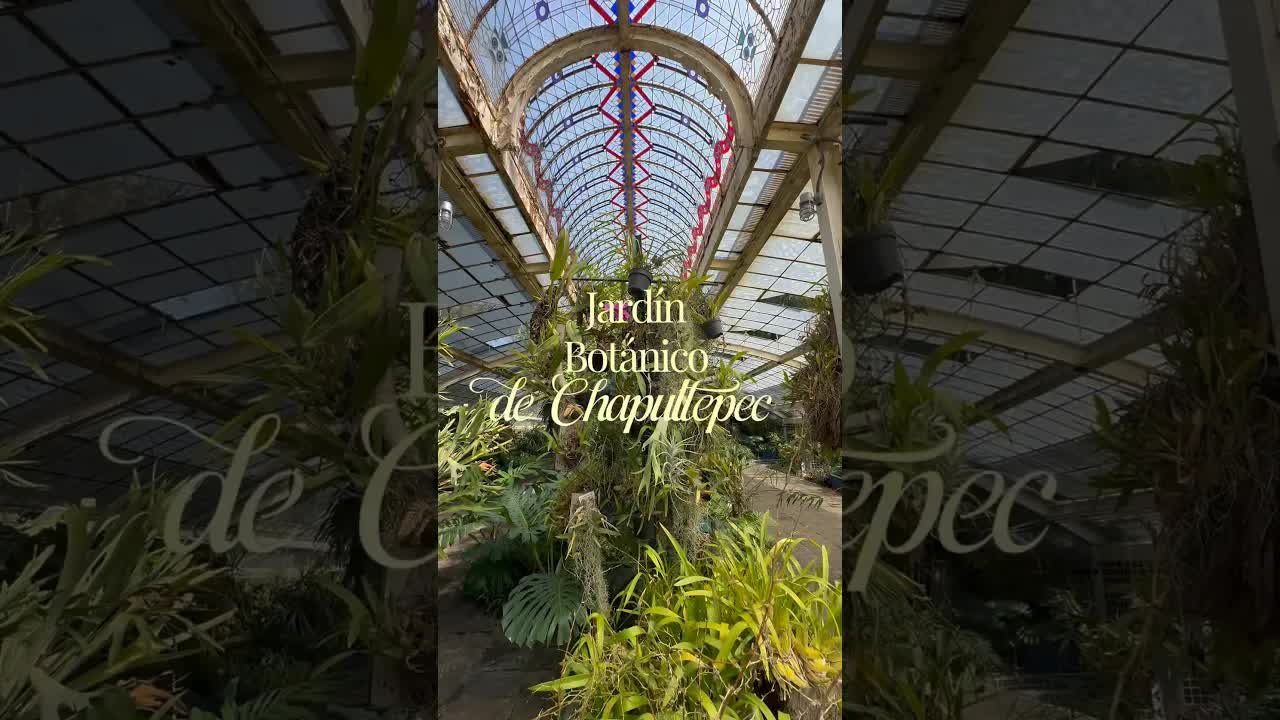 Jardín botánico de Chapultepec: plan gratis en CDMX