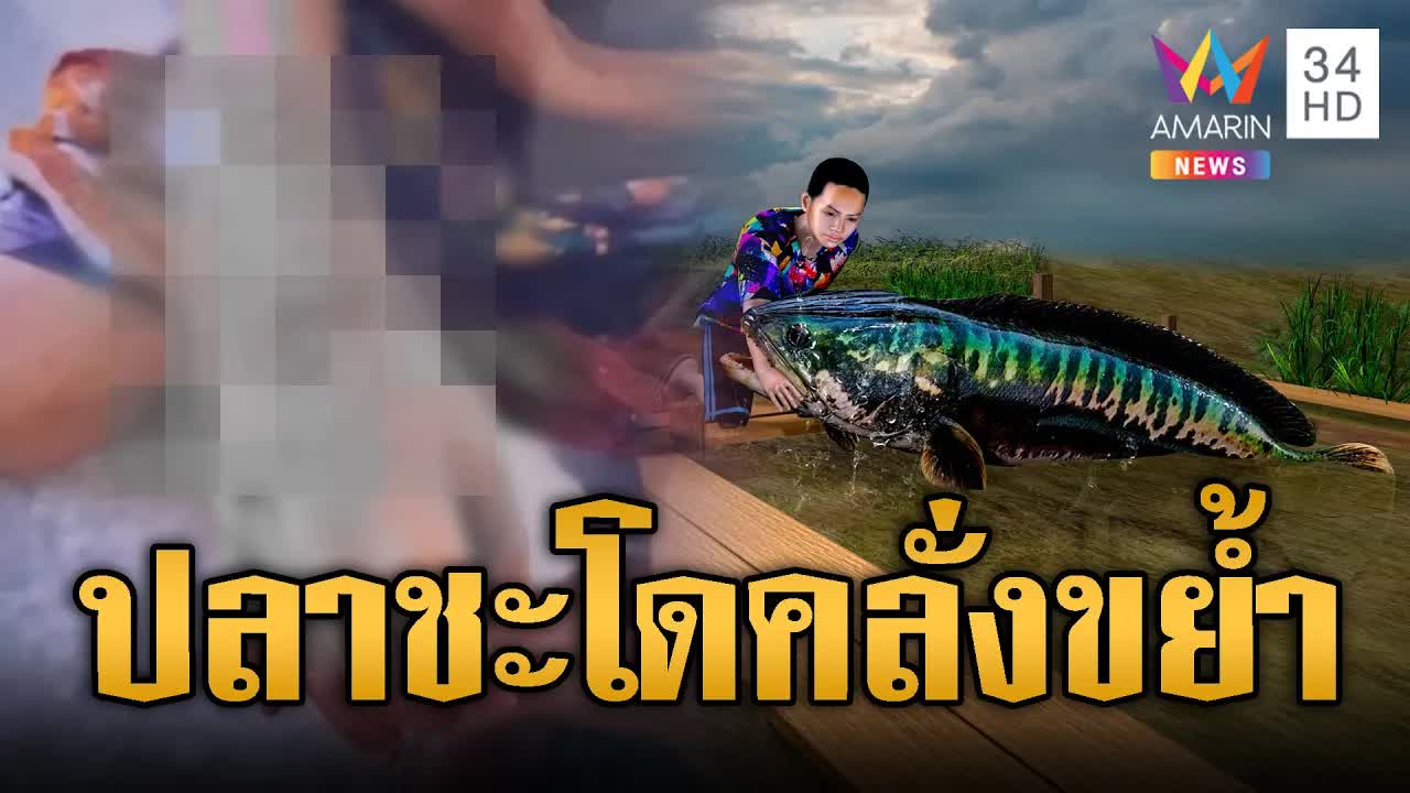 แม่ปลาชะโดหวงลูก กัดแขนเด็กเลือดอาบ