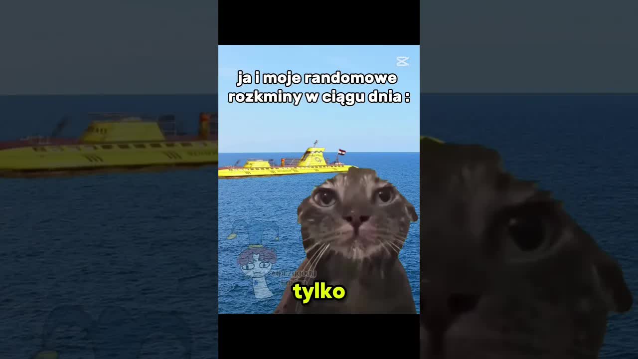 Moje dziwne myśli w ciągu dnia