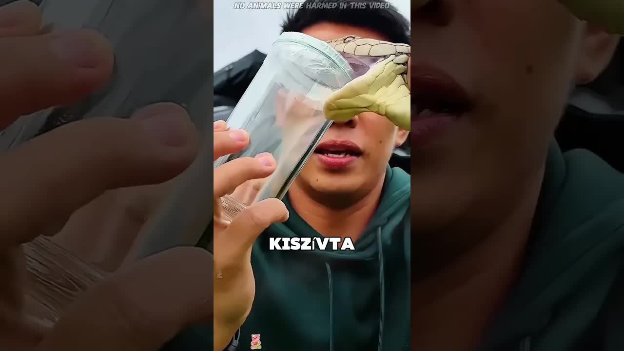Egy fiú és egy kobra barátsága
