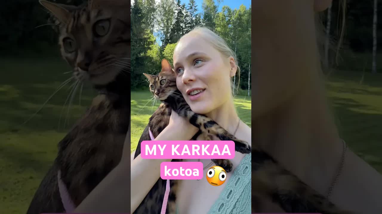 Hassun lemmikin ulkoiluhetki