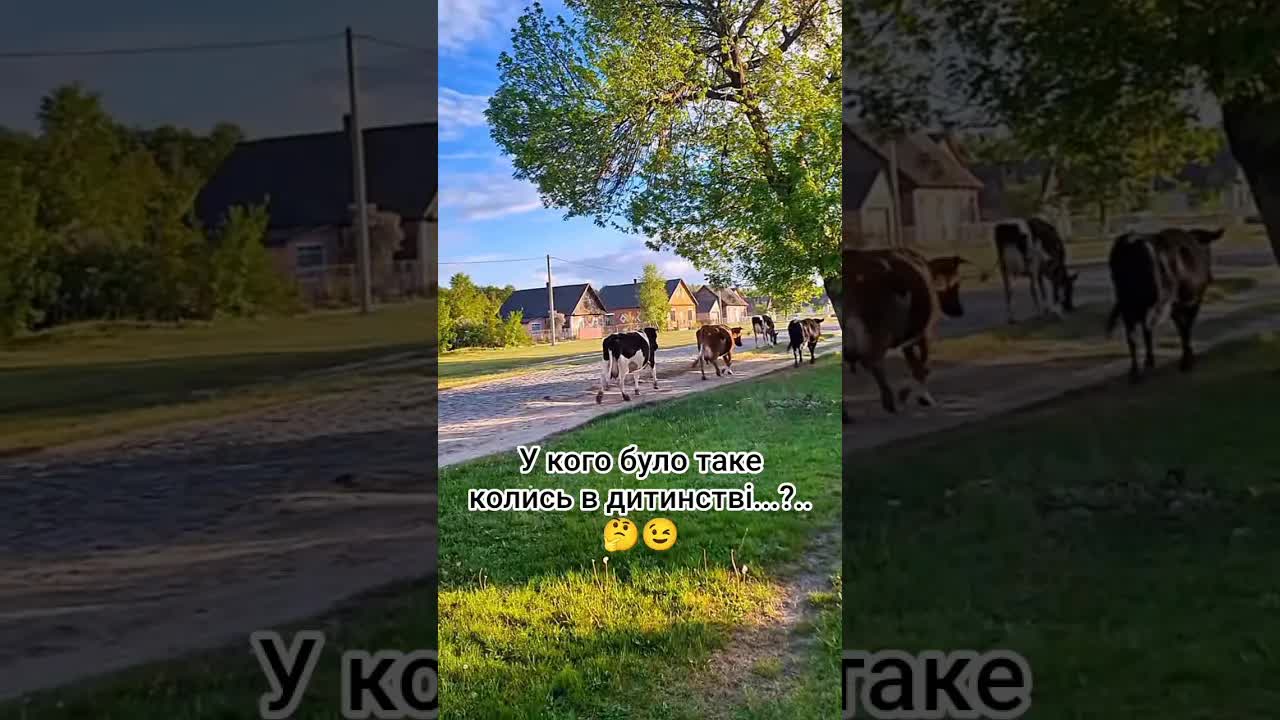 Чи було у вас таке дитинство з батьками?