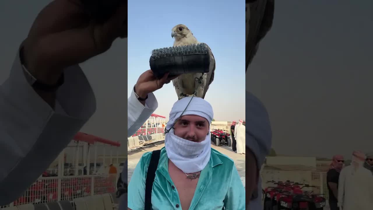 Un vultur m-a atacat în desert