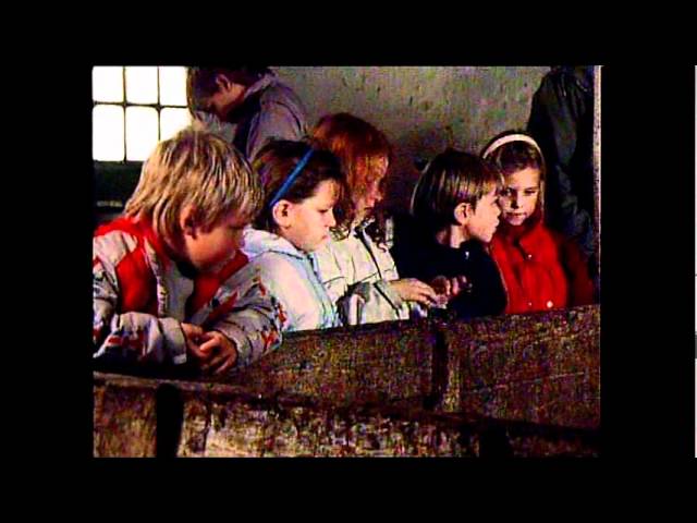 Besøg på en gård i Jylland