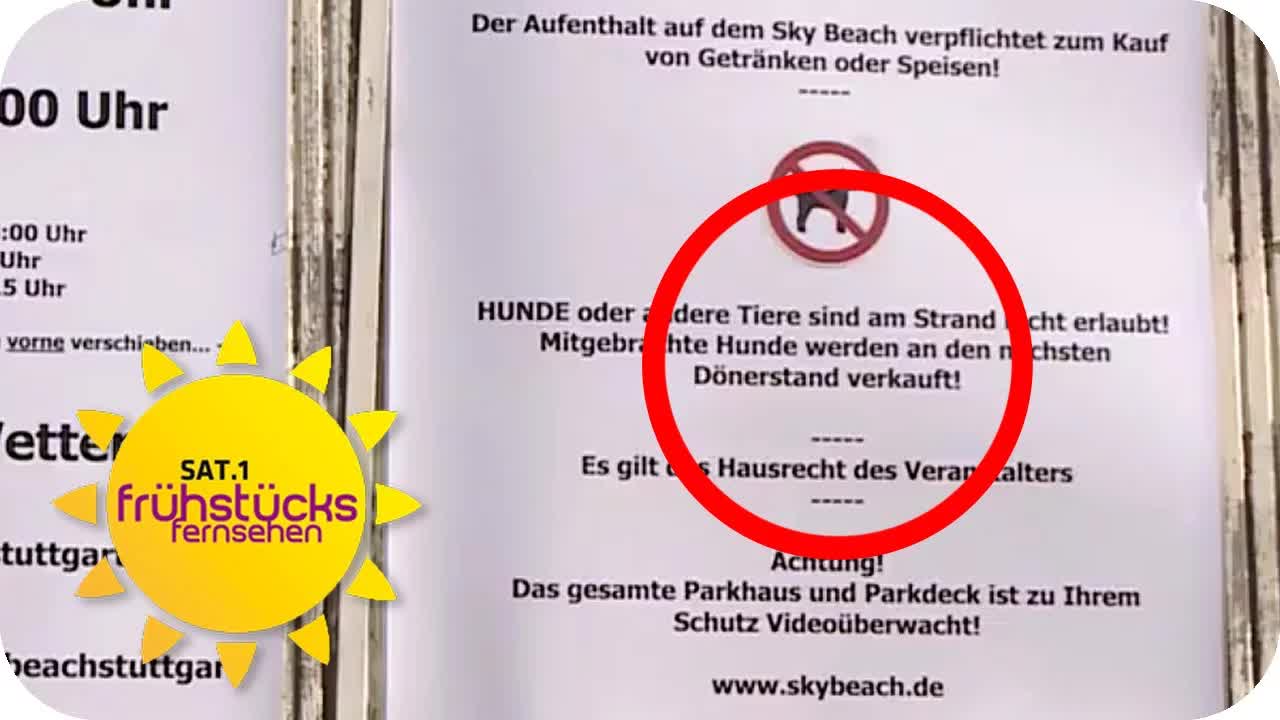 Hunde-Verbotsschild sorgt für Ärger in Stuttgart