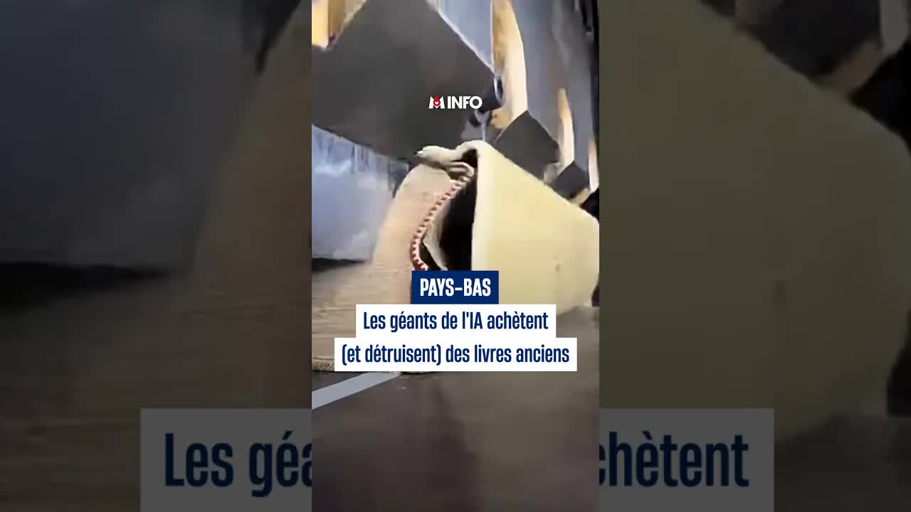 Les géants de l'IA achètent des livres anciens