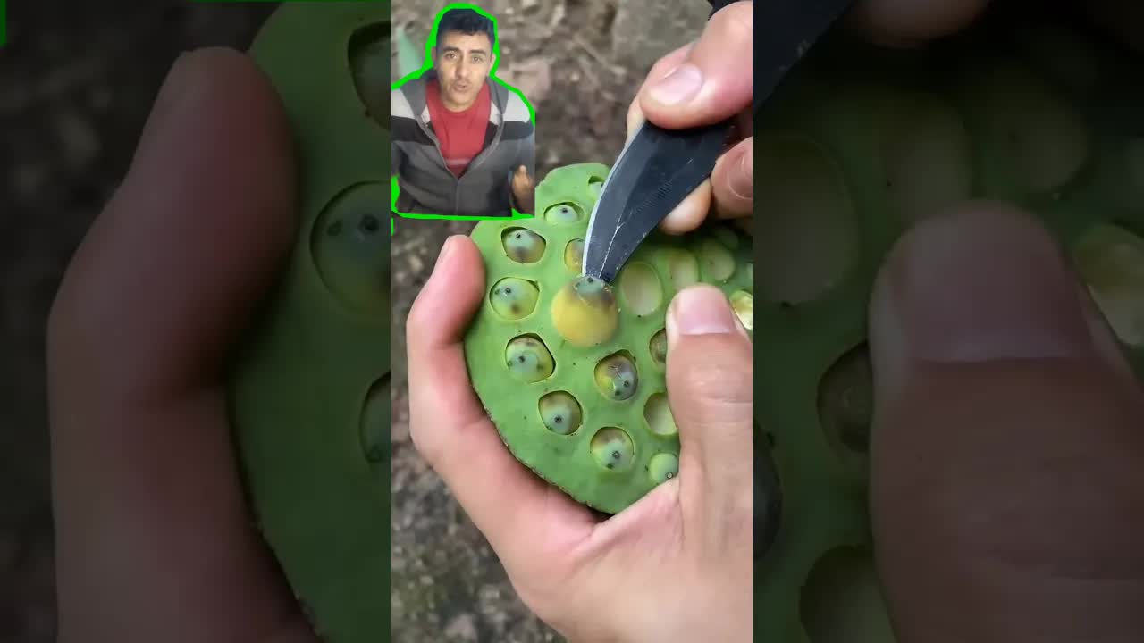 El misterio de las semillas de loto