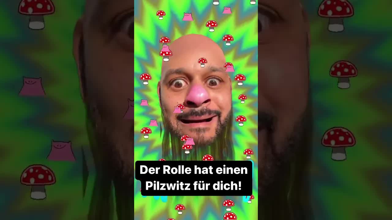 Der beste Pilzwitz mit Schnecken im Wald