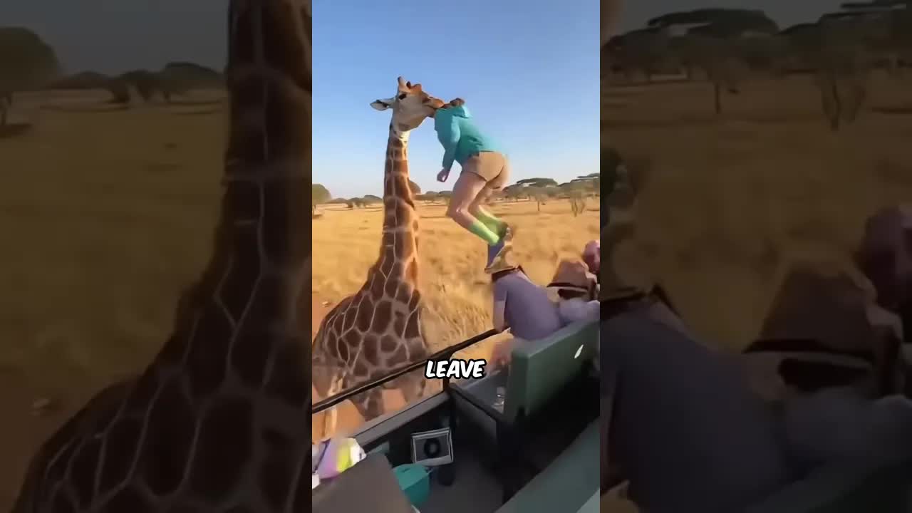 Crazy Animal Moments That Leave You Speechless