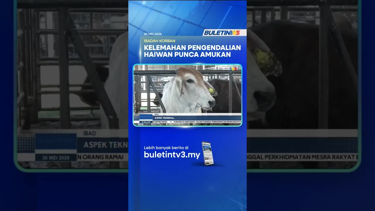 Insiden Haiwan Korban Bertindak Agresif