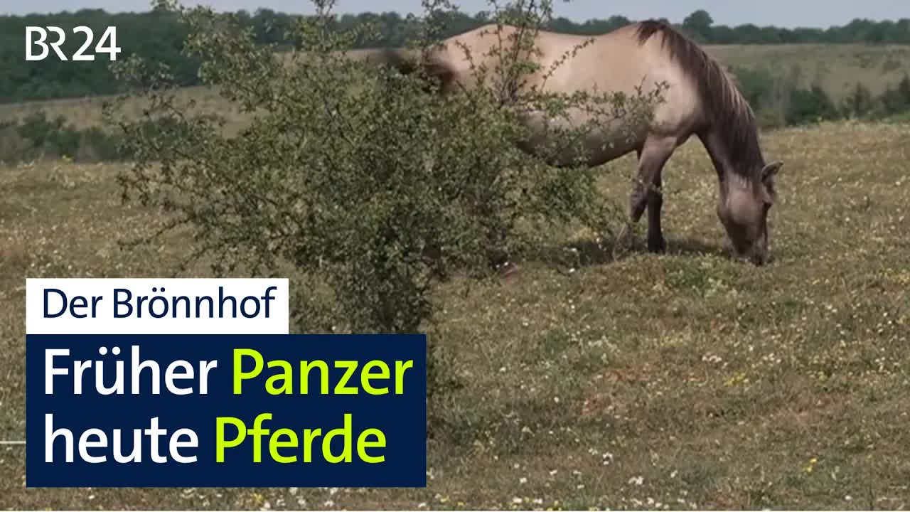 Vom Panzerübungsplatz zum Naturschutzgebiet
