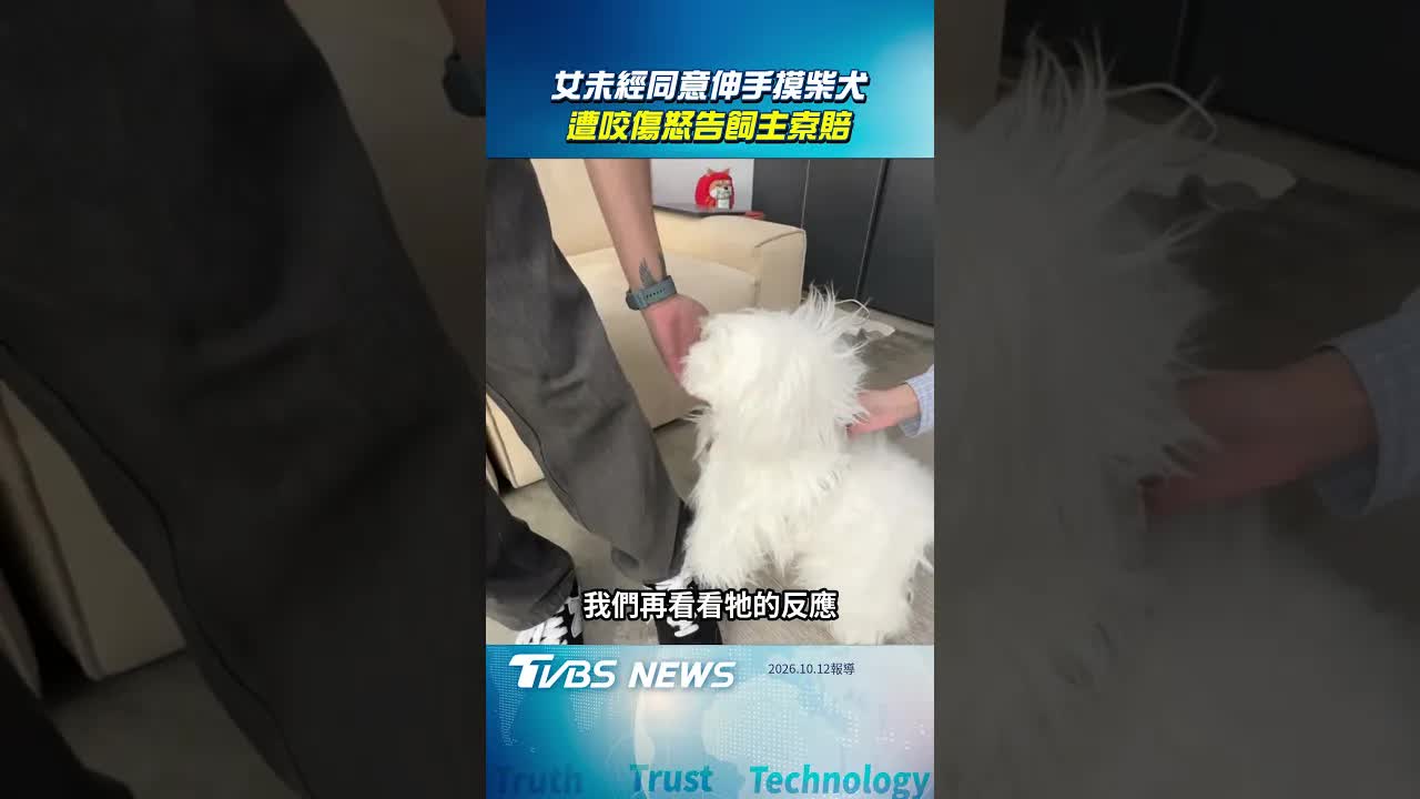 女子未經同意摸柴犬遭咬傷和解