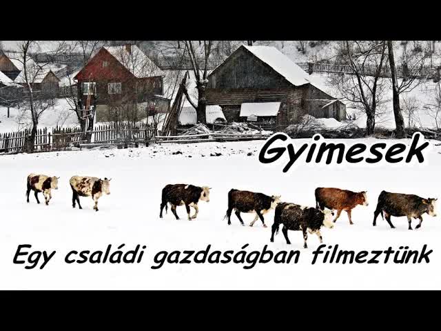 Látogatás egy gyimesi gazda házában