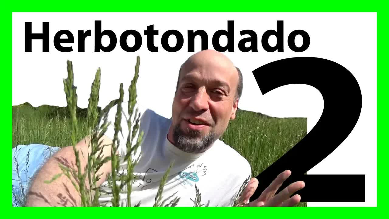 Respondante al komentoj pri herbotondado kaj kamerao