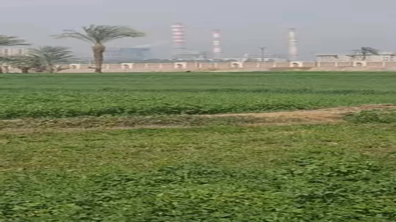 جولة في الريف المصري وقت الظهيرة