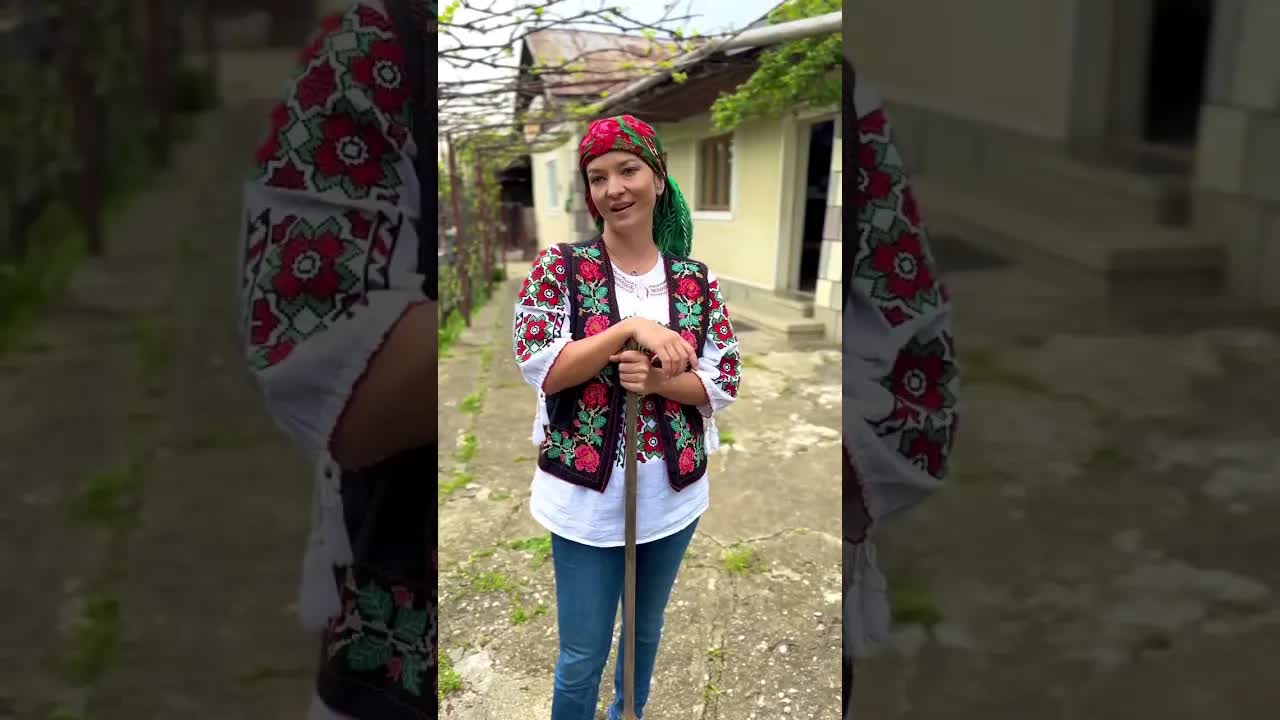 Un satiric întâlnire de curte la țară