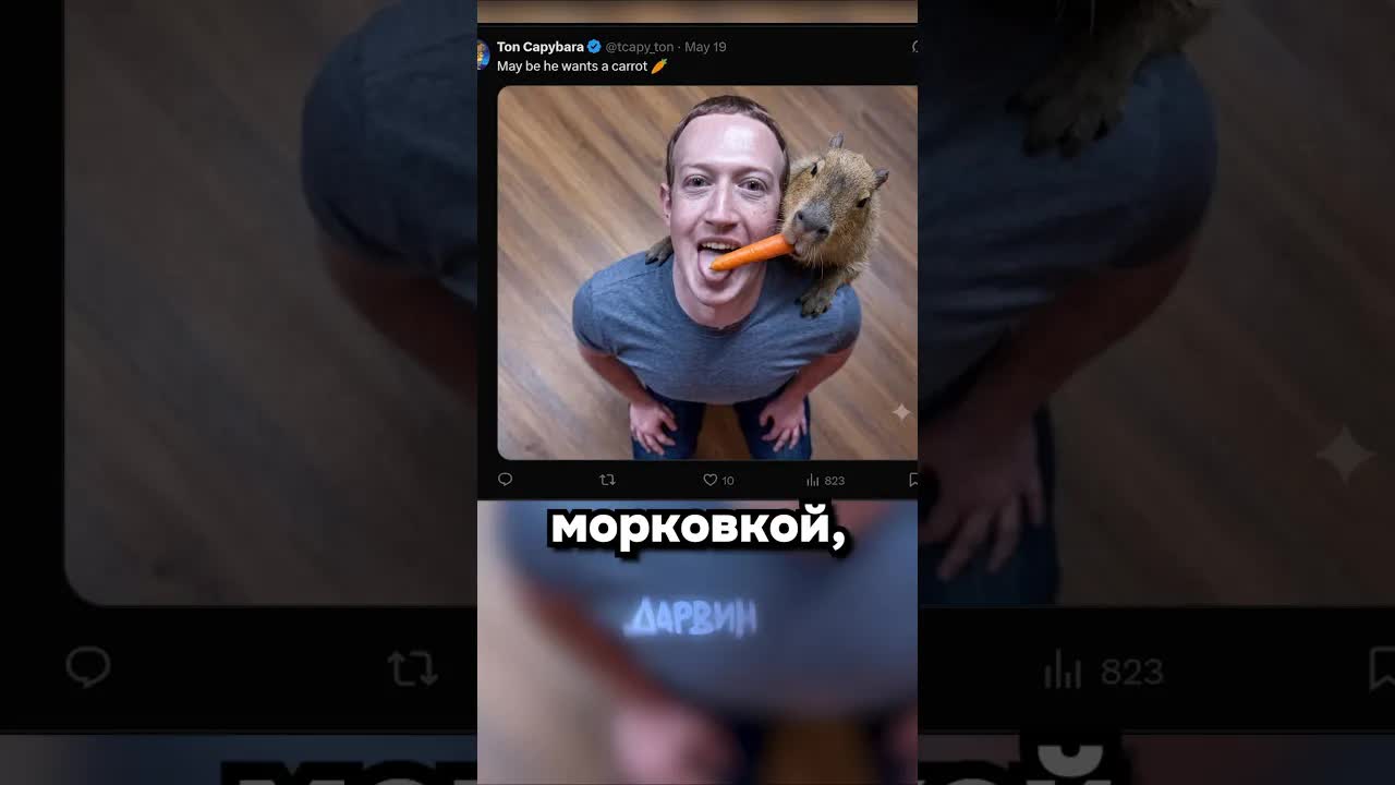 Шутка телеграма над Цукербергом и метавселенной
