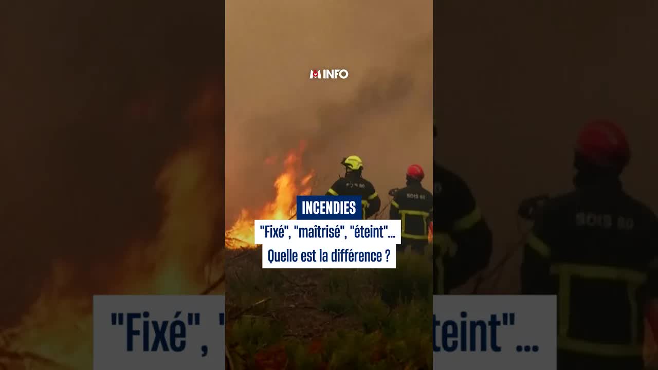 Feu de forêt : les étapes de la maîtrise