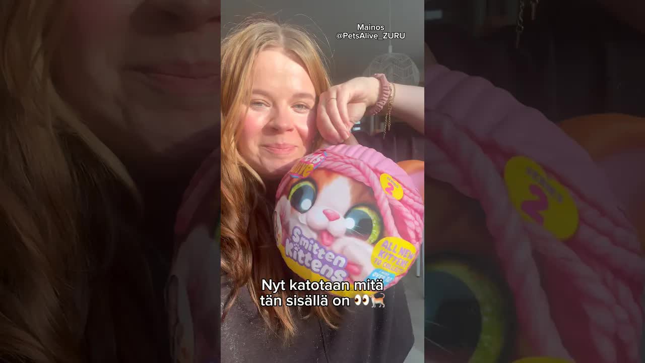 Viisi eri kissaa ja niiden lelut