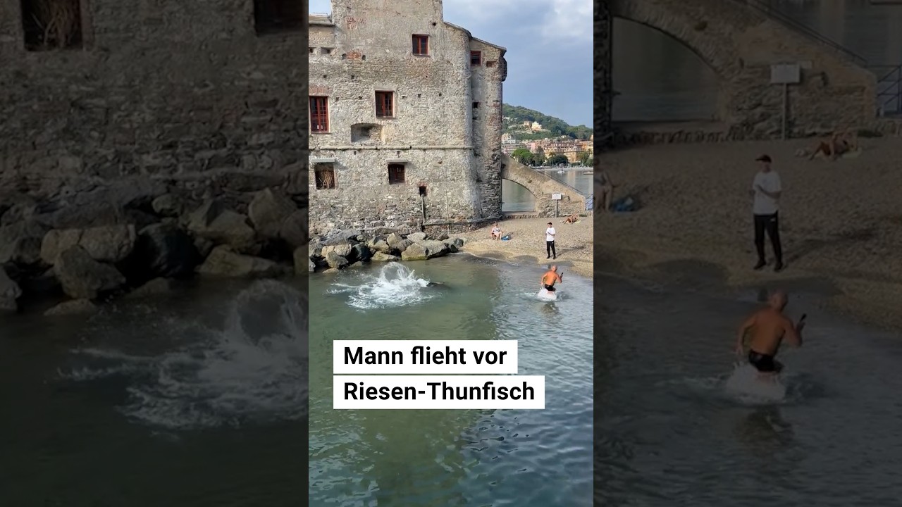 Mann flieht vor Riesen-Thunfisch in Italien